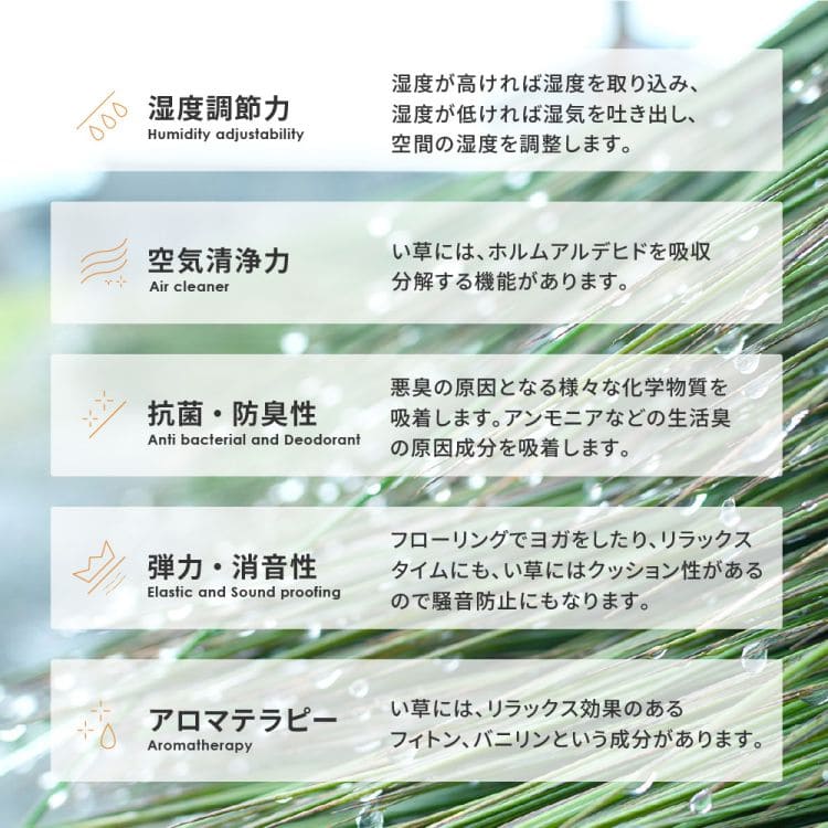 い草ラグ