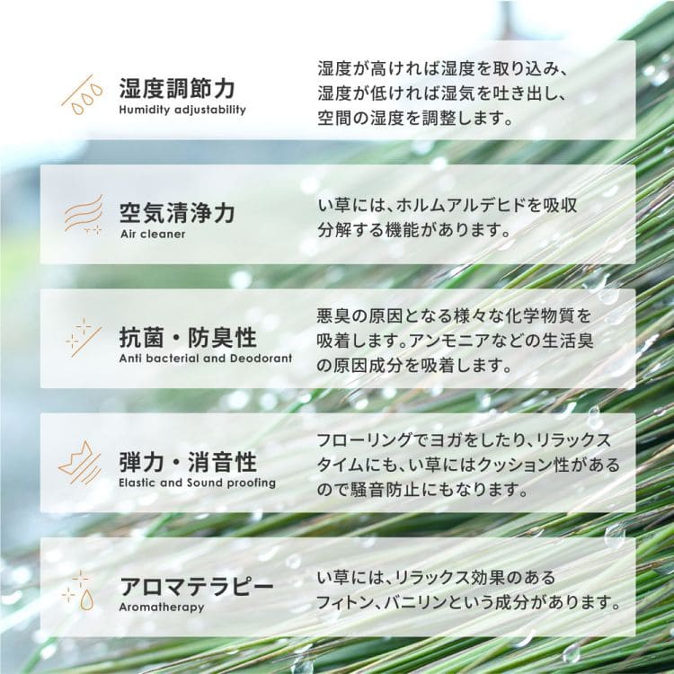 い草ラグ