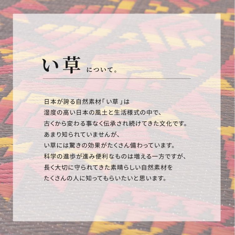 い草ラグ