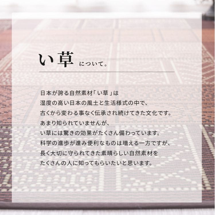 い草ラグカーペットいぐさ3畳裏貼りペットい草カーペットラグ夏用い草和畳おしゃれ抗菌防臭ござ夏長方形天然素材床暖房アジアン