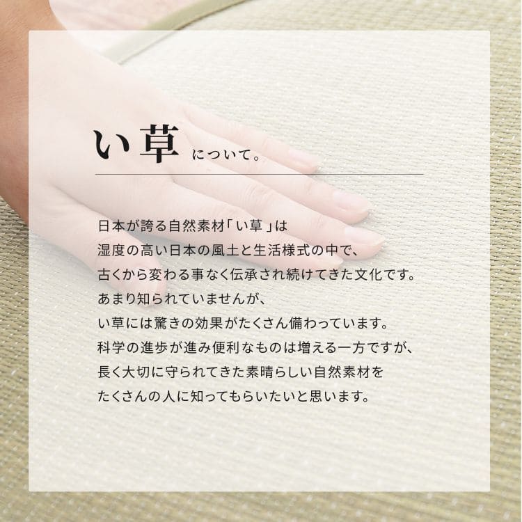 カーペットラグい草2畳裏貼りギャッベ風い草カーペットい草ラグ夏用ペット和柄いぐさ畳おしゃれ絨毯抗菌防臭ござ夏正方形天然素材床暖房ラグマットカバー拭けるペットオールシーズン涼しいじゅうたん激安安いゴザ犬猫井草茣蓙