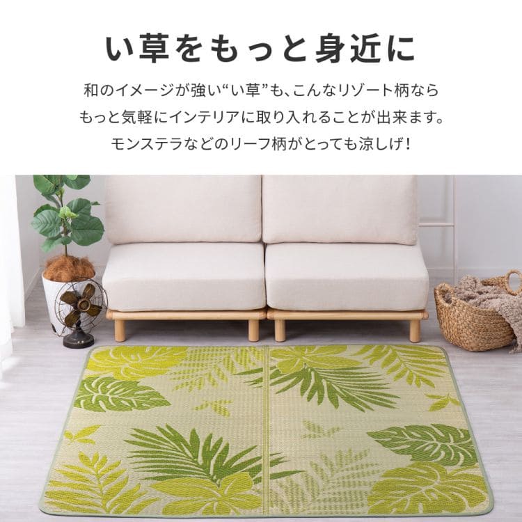 い草ラグ