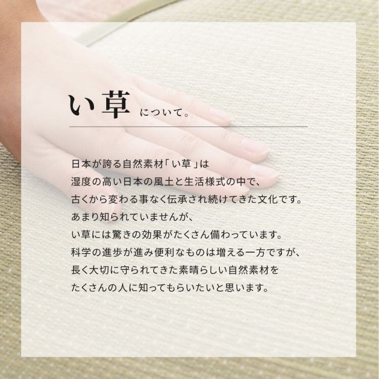 い草ラグ