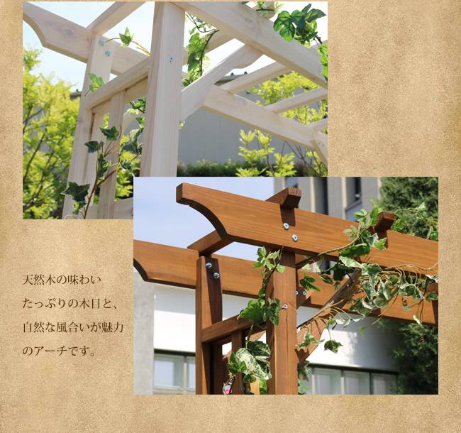 藤棚