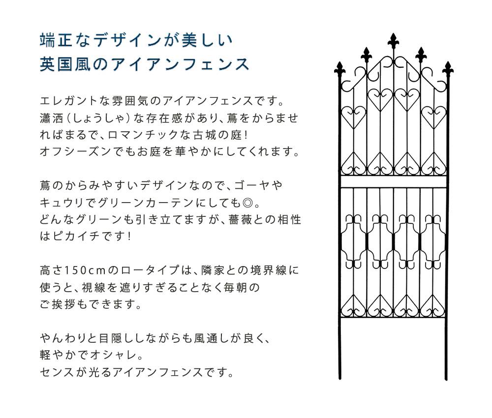 アイアン