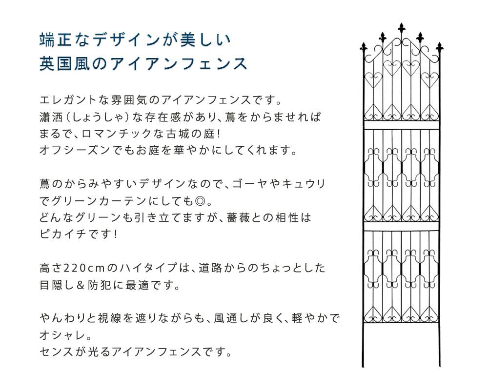 アイアン