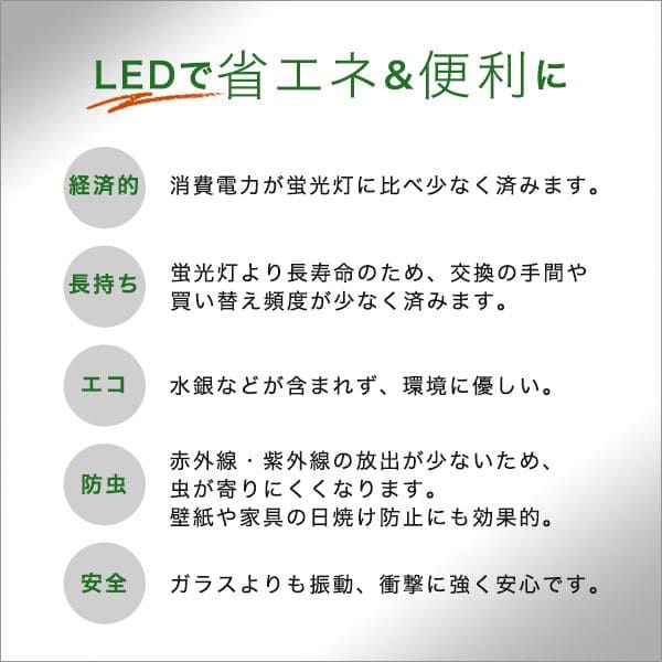 ライト