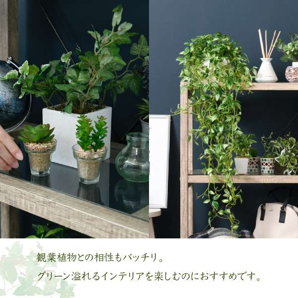 ラック棚木製収納スリム幅60観葉植物プランターガラス3段奥行30ロータイプ薄型ディスプレイ低めシェルフガーデニングおしゃれウッドコンパクトa4書類玄関本棚リビング壁面丈夫小型