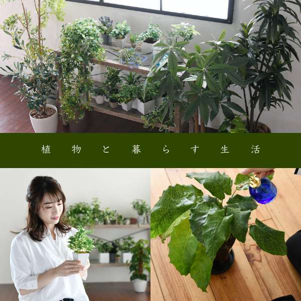 ボタニカル花台鉢置き台ラック3段フラワースタンド古材ガラスシャビ―観葉植物インテリア幅60奥行30高さ100オープンシェルフ木製飾り棚