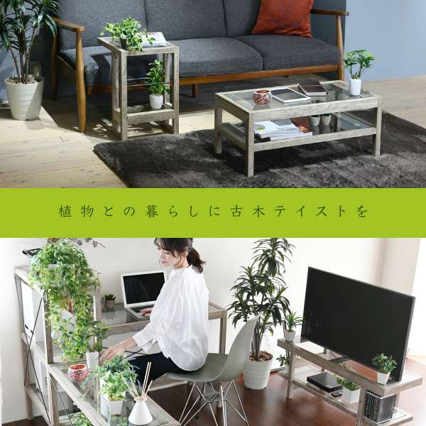 グリーンのある暮らしテレビ台ガラス古材インテリア40インチグリーンシャビー多肉植物ラックおしゃれ鉢置き台一人暮らしテレビボードロータイプ