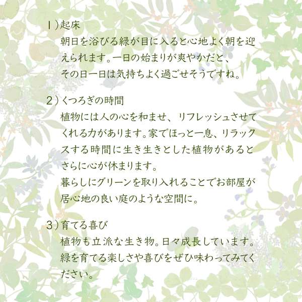 グリーンインテリアスタンドミラー姿見ガラスインテリアグリーン観葉植物シャビー多肉植物棚ラックおしゃれシンプル一人暮らし木製古材