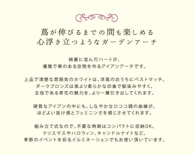 アイアンアーチ「BlossomHeart」~ブロッサムハート~【送料無料アイアンアーチ門鉄製ハート花フェンスガーデンアーチおしゃれ小型北欧ガーデニング屋外家具ツタ蔦エントランスエクステリアロマンチックブロッサム園芸支柱】
