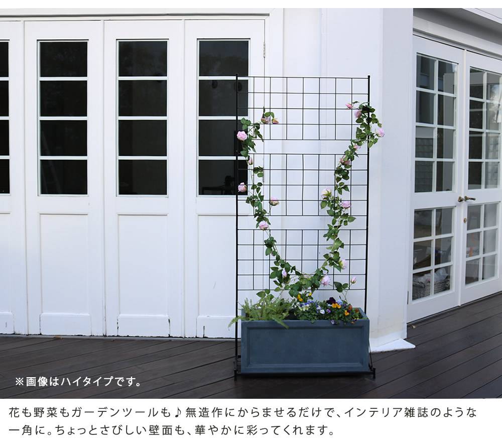 プランター台付フェンス(ロータイプ)「グラフ」【送料無料フェンスゲート扉アイアンガーデンフェンスガーデニング枠柵仕切り目隠し格子ベランダつる薔薇バラ朝顔園芸ラティスつるバラ庭屋外】