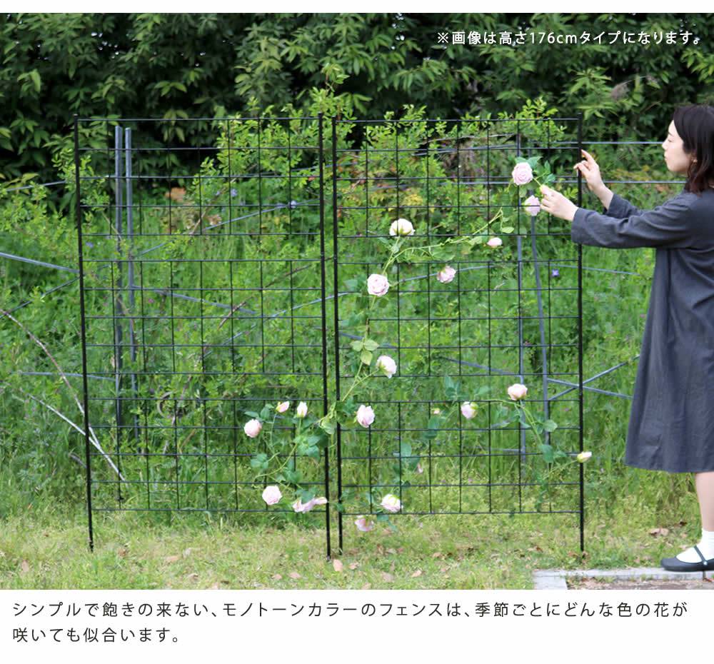 アイアンフェンス高さ75「グラフ」4枚組【送料無料フェンスアイアンガーデンフェンスガーデニング枠柵仕切り目隠し境目クラシカルアンティーク格子ベランダつる薔薇バラ朝顔園芸ラティスつるバラ庭誘引屋外】