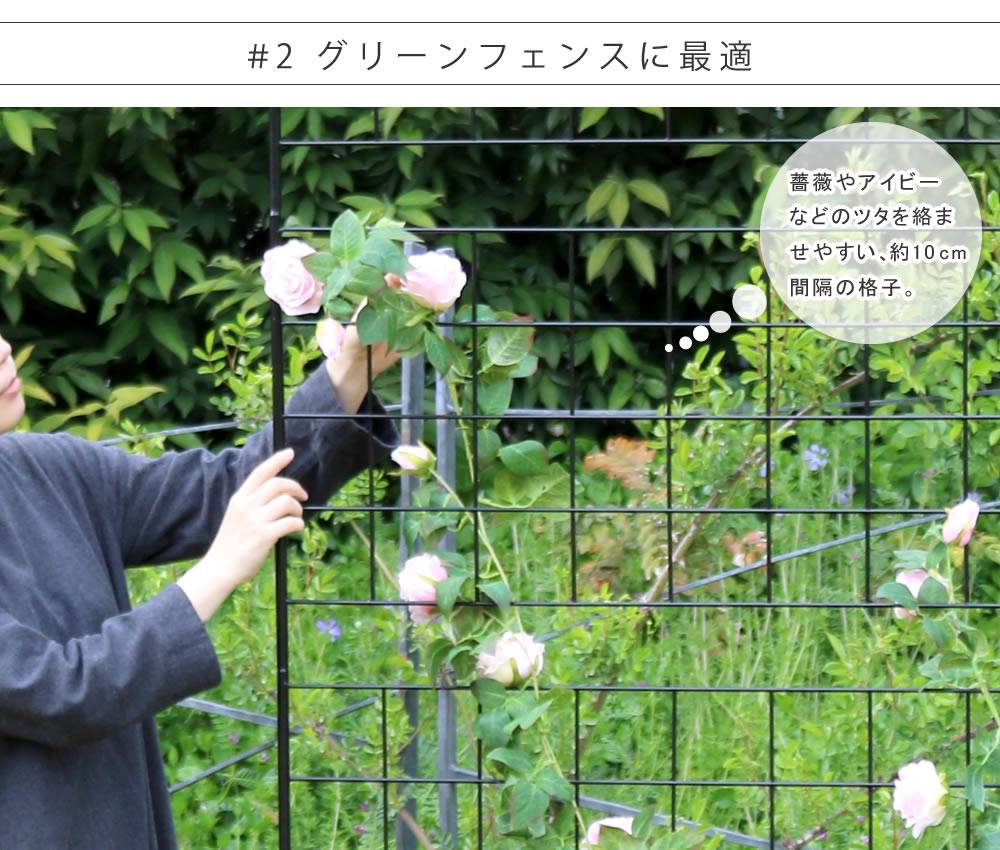 アイアンフェンス高さ75「グラフ」4枚組【送料無料フェンスアイアンガーデンフェンスガーデニング枠柵仕切り目隠し境目クラシカルアンティーク格子ベランダつる薔薇バラ朝顔園芸ラティスつるバラ庭誘引屋外】