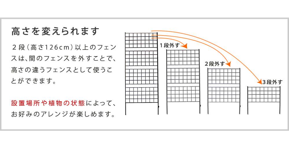 アイアンフェンス高さ126「グラフ」2枚組【送料無料フェンスアイアンガーデンフェンスガーデニング枠柵仕切り目隠し境目クラシカルアンティーク格子ベランダつる薔薇バラ朝顔園芸ラティスつるバラ庭誘引屋外】