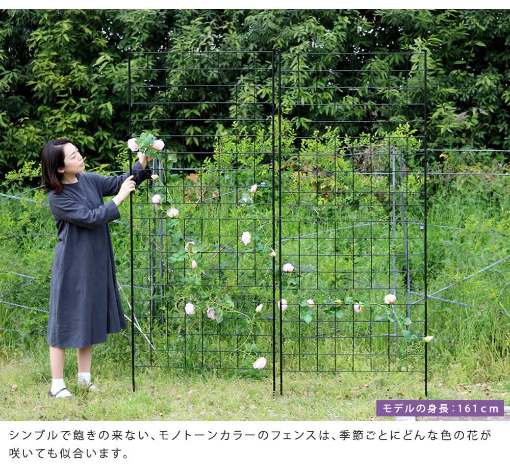 アイアンフェンス高さ226「グラフ」2枚組【送料無料フェンスアイアンガーデンフェンスガーデニング枠柵仕切り目隠し境目クラシカルアンティーク格子ベランダつる薔薇バラ朝顔園芸ラティスつるバラ庭誘引屋外】