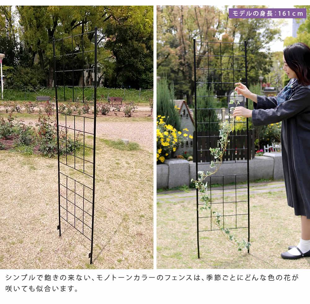アイアンフェンス高さ176スリム「グラフ」2枚組【送料無料フェンスアイアンガーデンフェンスガーデニング枠柵仕切り目隠し境目クラシカルアンティーク格子ベランダつる薔薇バラ朝顔園芸ラティスつるバラ庭誘引屋外】