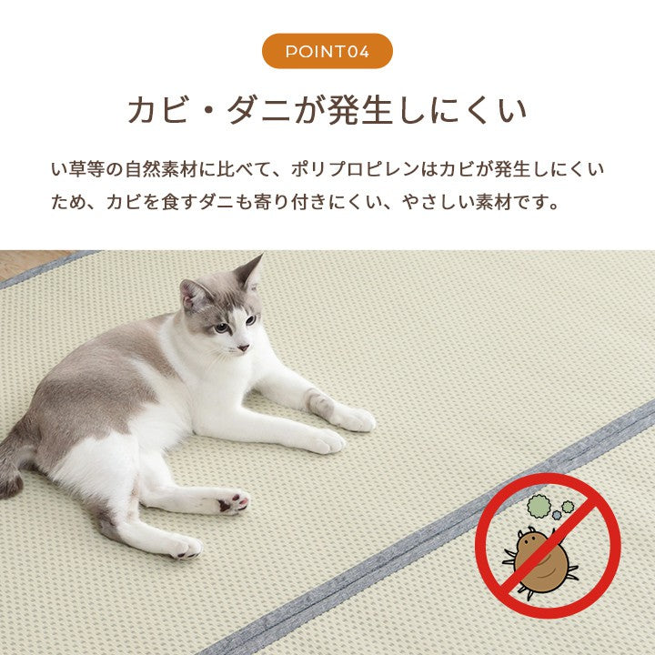 カーペットござ