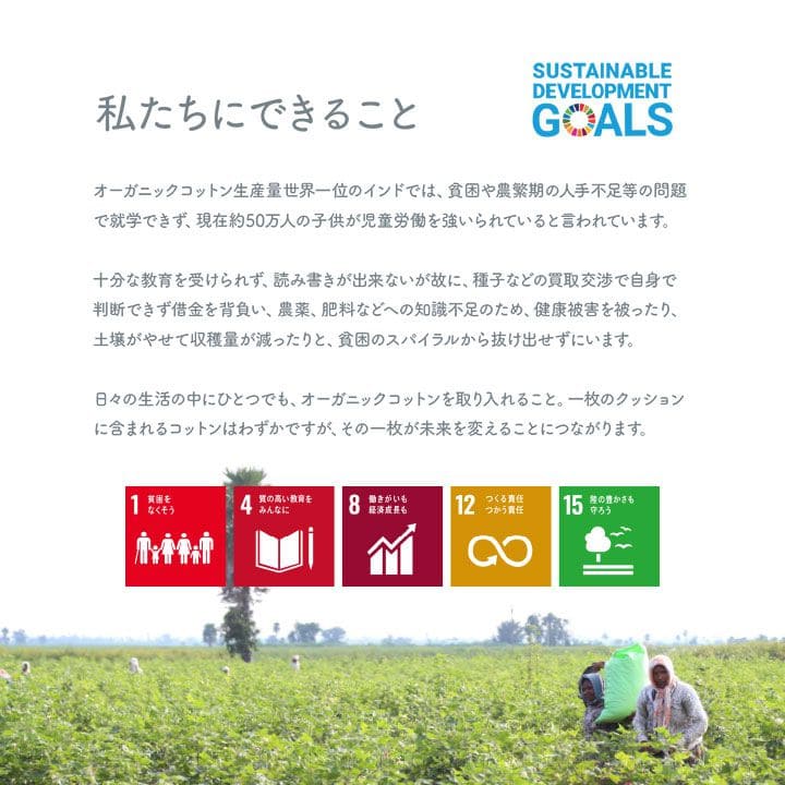 座布団クッションロング洗える厚め折りたたみ長座布団大きい長い横長長方形綿ソファ車おしゃれ床ごろ寝シートダイニングコンパクトかわいい読書パソコンお昼寝寝れるソファー本リビング寝