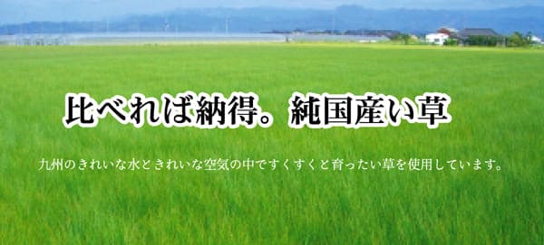 い草ラグラグいぐさ2畳国産ウレタン厚手裏貼りい草カーペット夏用い草カーペット日本製クッションおしゃれ抗菌防臭ござ夏正方形ラグマットカバー拭けるペットオールシーズン通年涼しい