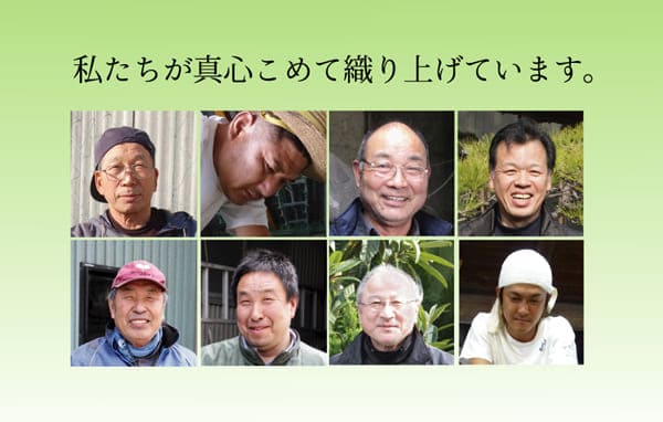 い草ラグラグいぐさ2畳国産ウレタン厚手裏貼りい草カーペット夏用い草カーペット日本製クッションおしゃれ抗菌防臭ござ夏正方形ラグマットカバー拭けるペットオールシーズン通年涼しい