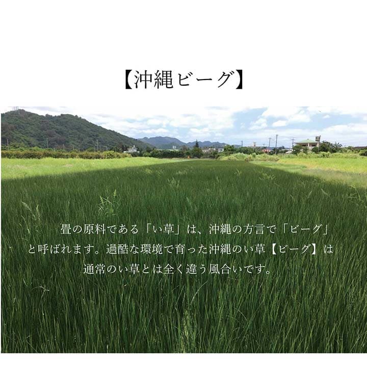 い草ラグラグいぐさ2畳マット国産滑り止め裏貼りい草カーペット夏用い草カーペットクッション日本製おしゃれ抗菌防臭夏正方形ビーグラグマットカバー拭けるペットオールシーズン通年涼しい