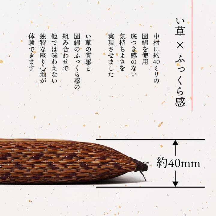 座布団クッション和風業務用厚手大きめ座る用四角正方形おしゃれ和ふかふか厚い疲れない大きいアジアン5枚セット55×55