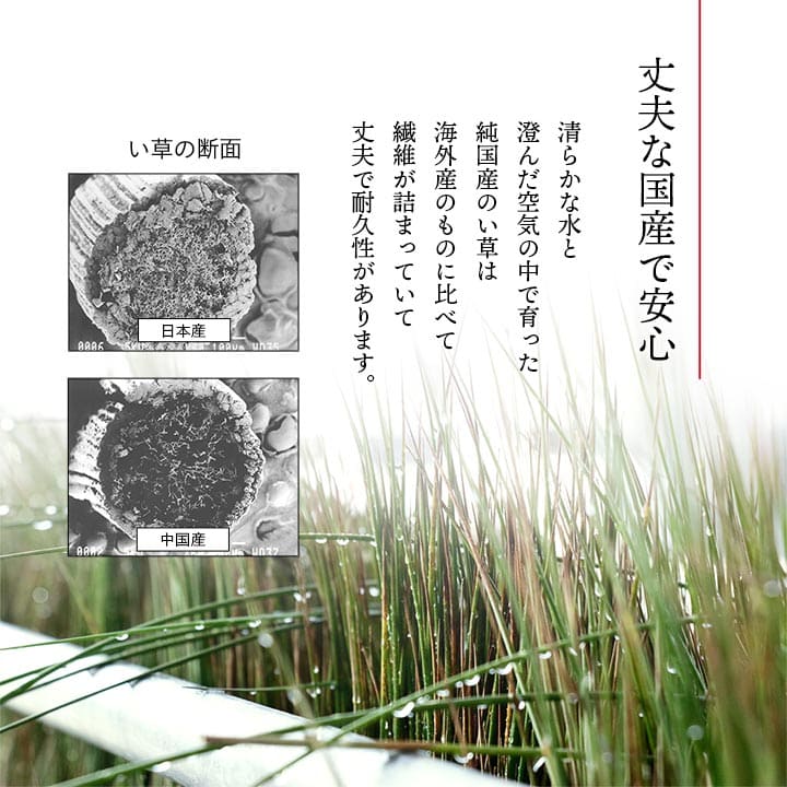 座布団クッション和風業務用厚手大きめ座る用四角正方形おしゃれ和ふかふか厚い疲れない大きいアジアン5枚セット55×55