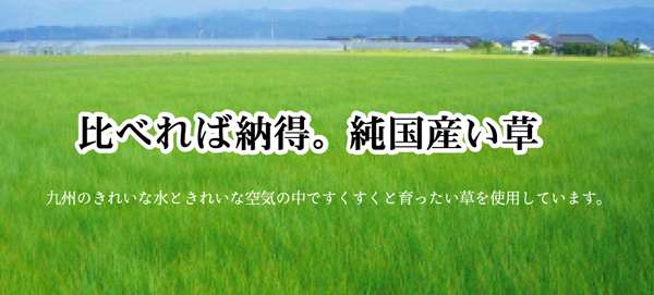 座布団クッション和風業務用厚手大きめ座る用四角正方形おしゃれ和ウレタン厚い疲れない大きいアジアン5枚セット55×55