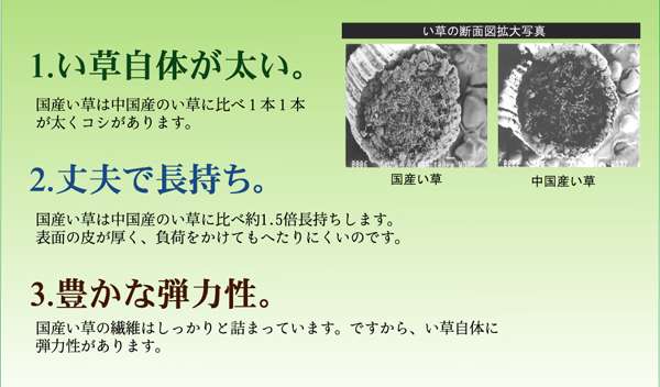 座布団クッション和風業務用厚手大きめ座る用四角正方形おしゃれ和ウレタン厚い疲れない大きいアジアン5枚セット55×55