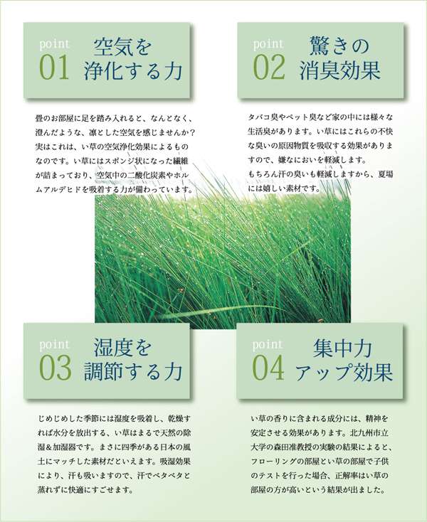 座布団クッション和風業務用厚手大きめ座る用四角正方形おしゃれ和ウレタン厚い疲れない大きいアジアン5枚セット55×55