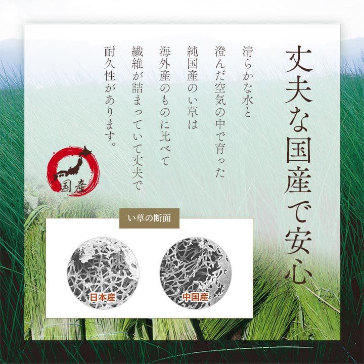座布団2枚セットい草日本製和風厚手55×55正方形クッション通気性おしゃれ国産モダン畳客用床用大きい涼しい抗菌防臭和室2枚組ざぶとん厚め固め腰痛四角一般的正座リビング格安夏用