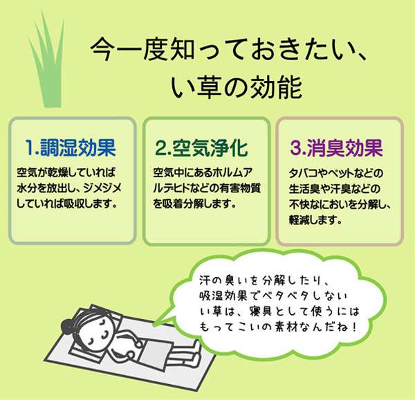 枕まくら安眠国産子供低反発おしゃれ柔らかい肩こり首こり低め本体プレゼント昼寝快眠枕安眠枕熟睡30×50ごろ寝枕昼寝枕