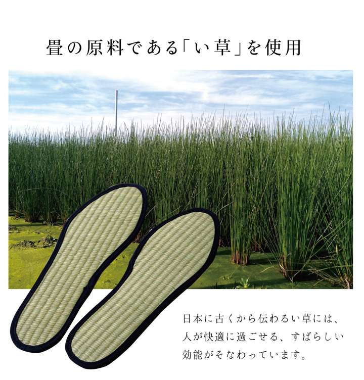 インソール中敷き消臭子供薄型クッション靴革靴防臭臭い消し安全靴立ち仕事スニーカーシューズメンズレディースブーツパンプス中敷