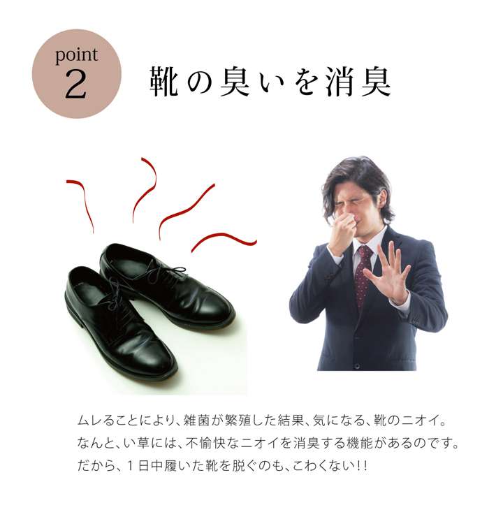 インソール中敷き消臭子供薄型クッション靴革靴防臭臭い消し安全靴立ち仕事スニーカーシューズメンズレディースブーツパンプス中敷