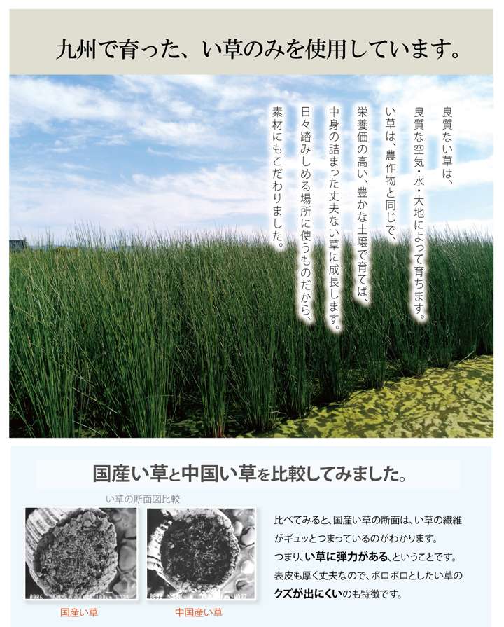 インソール中敷き消臭子供薄型クッション靴革靴防臭臭い消し安全靴立ち仕事スニーカーシューズメンズレディースブーツパンプス中敷