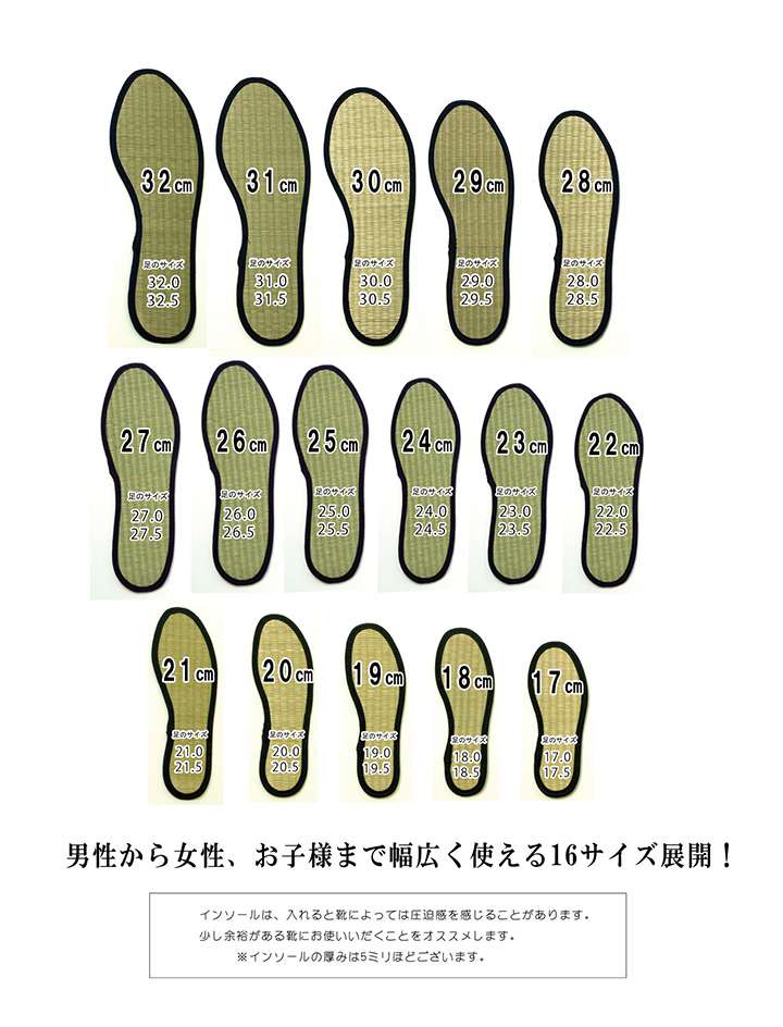 インソール中敷き消臭子供薄型クッション靴革靴防臭臭い消し安全靴立ち仕事スニーカーシューズメンズレディースブーツパンプス中敷