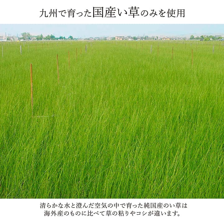 い草カーペットい草ラグ2畳江戸間国産ござ上敷き畳上敷きい草カーペットラグいぐさ畳夏用日本製おしゃれ抗菌防臭サイズ二畳夏正方形ラグマットカバー拭けるペットオールシーズン通年涼しい