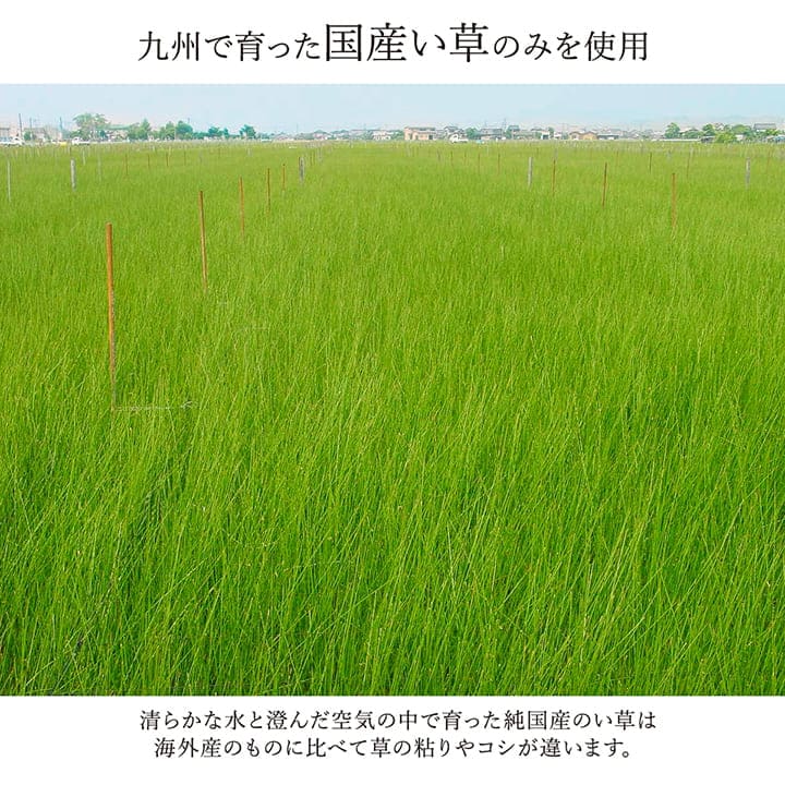 い草ラグラグいぐさ2畳江戸間国産裏貼り日本製い草カーペット夏用い草カーペット上敷きクッション畳おしゃれ抗菌防臭ござ夏正方形ラグマットカバー拭けるペットオールシーズン通年涼しい