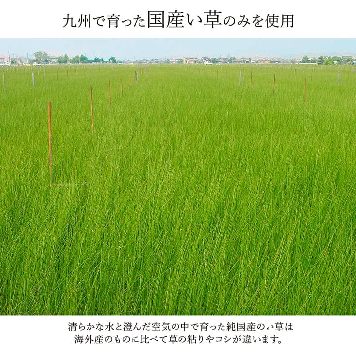 い草ラグ2畳江戸間い草カーペット国産上敷きい草カーペットラグいぐさ畳夏用日本製おしゃれ抗菌防臭サイズ二畳夏正方形ござ上敷き畳ラグマットカバー拭けるペットオールシーズン通年涼しい
