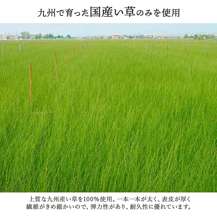 い草ラグ4畳半本間い草カーペット国産上敷きい草カーペットラグいぐさ畳夏用日本製おしゃれ抗菌防臭サイズ四畳半夏正方形ござ上敷き畳ラグマットカバー拭けるペットオールシーズン通年涼しい