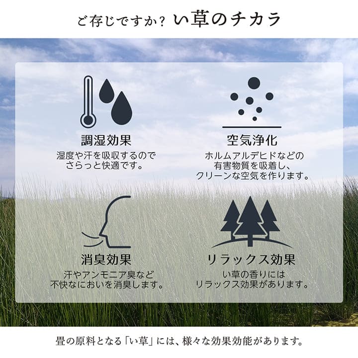 い草ラグ4畳半本間い草カーペット国産上敷きい草カーペットラグいぐさ畳夏用日本製おしゃれ抗菌防臭サイズ四畳半夏正方形ござ上敷き畳ラグマットカバー拭けるペットオールシーズン通年涼しい