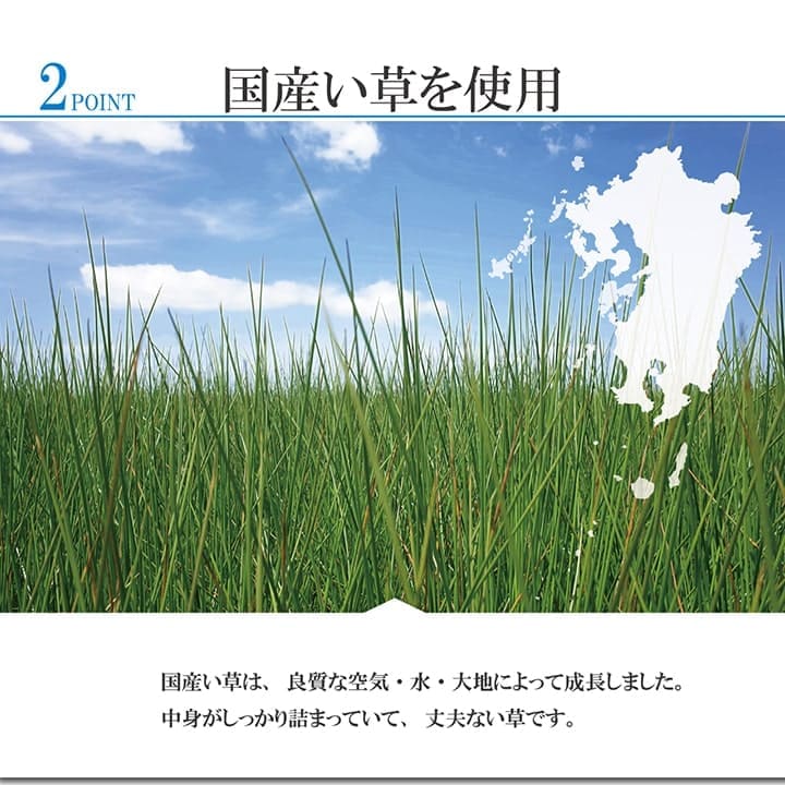 い草ラグラグいぐさ2畳江戸間国産裏貼り滑り止め日本製い草カーペット夏用い草カーペット上敷きクッション畳おしゃれ絨毯抗菌防臭ござ夏ラグマットカバー拭けるペットオールシーズン涼しいじゅうたん激安安いゴザ犬猫井草茣蓙
