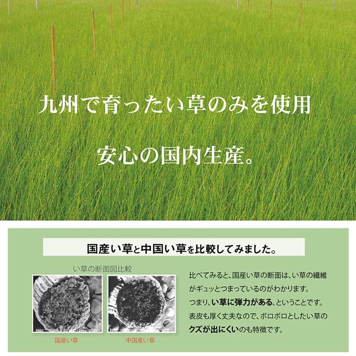 敷きパッドお昼寝マット子供赤ちゃんベビー夏日本製い草お昼寝星柄保育園綿おしゃれひんやり幼児キッズ70×120ごろ寝マット国産シーツごろ寝冷感子どもピンクブルーいぐさ抗菌防臭さらさら