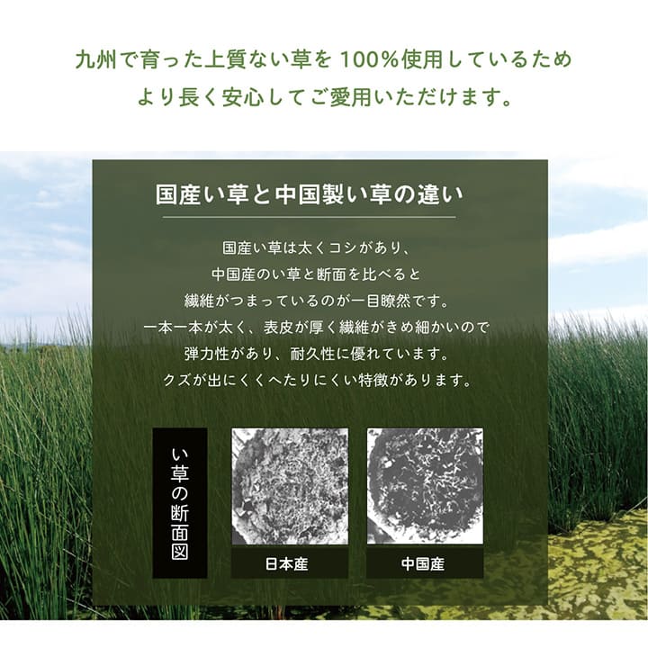 枕まくらい草通気性蒸れない小さい寝具調節国産昔ながらリラックス寝やすい夏昼寝低めごろ寝爽快快眠男性女性高さ調整高め薄い日本製ギフト母の日父の日おしゃれ昼寝用オールシーズン一般的