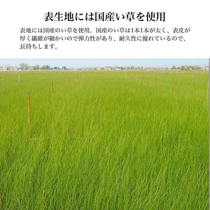 足枕枕むくみクッション足用足置き日本製い草プレゼント母の日父の日ウレタンパイプリラックス高めギフト防臭消臭蒸れない通気性国産男性女性昼寝寝やすい癒しごろ寝い草クッション足