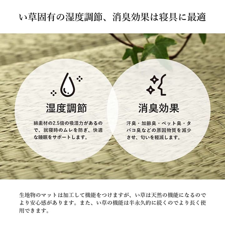 長座布団ごろ寝マットい草厚手夏国産ごろ寝クッション大きいロングマット日本製床置きお昼寝リビングおしゃれ長い6つ折り和風80180寝れるテレビ座布団床に座るリラックス読書厚め寝れる畳