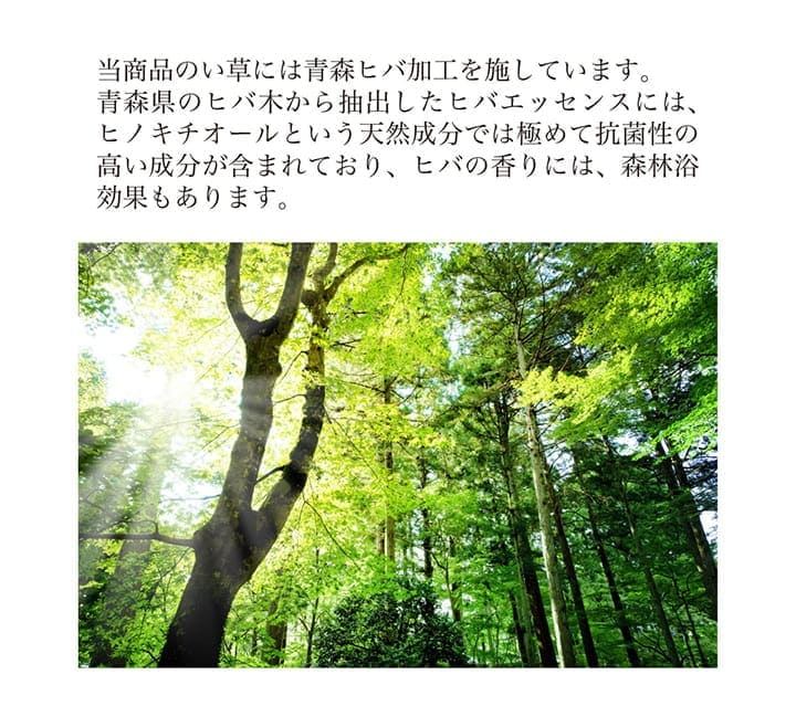 い草カーペット上敷き4畳い草ラグカーペットい草ラグいぐさ裏貼り畳夏用おしゃれ抗菌防臭サイズござ夏長方形堀こたつ190×300ラグマットカバー拭けるペットオールシーズン通年涼しい