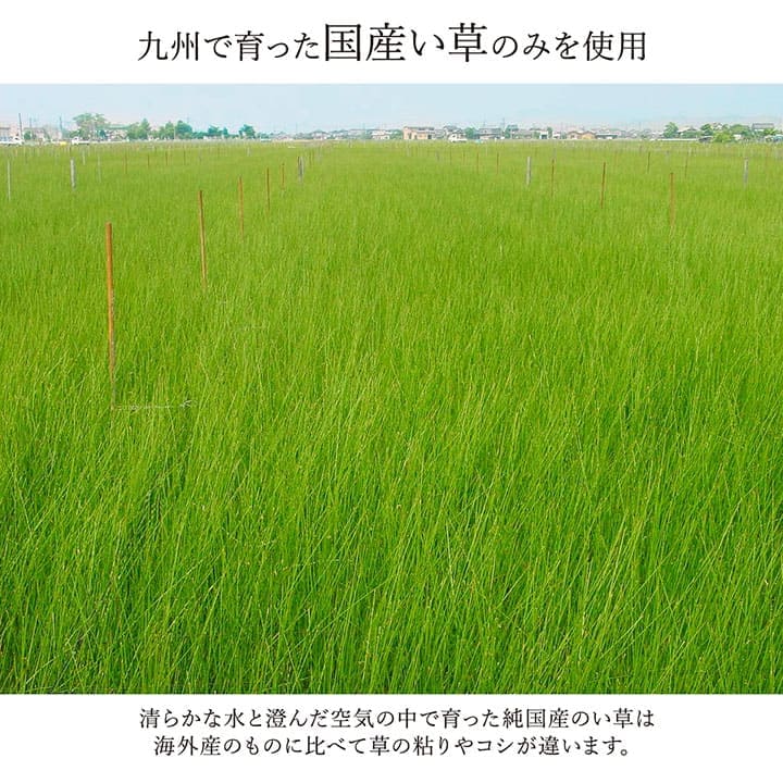 い草カーペットい草ラグ3畳国産上敷きい草カーペットラグいぐさ畳夏用日本製おしゃれ抗菌防臭サイズ三畳夏長方形ござ上敷き畳175×230ラグマットカバー拭けるペットオールシーズン通年涼しい